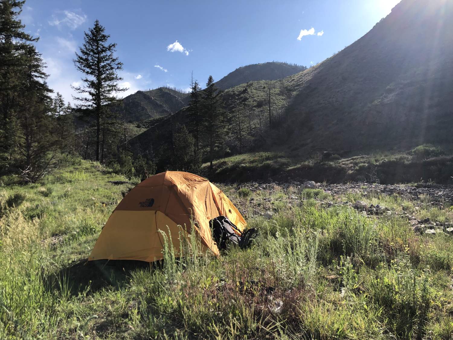 An orange tent in evening light in a Colorado mountain valley