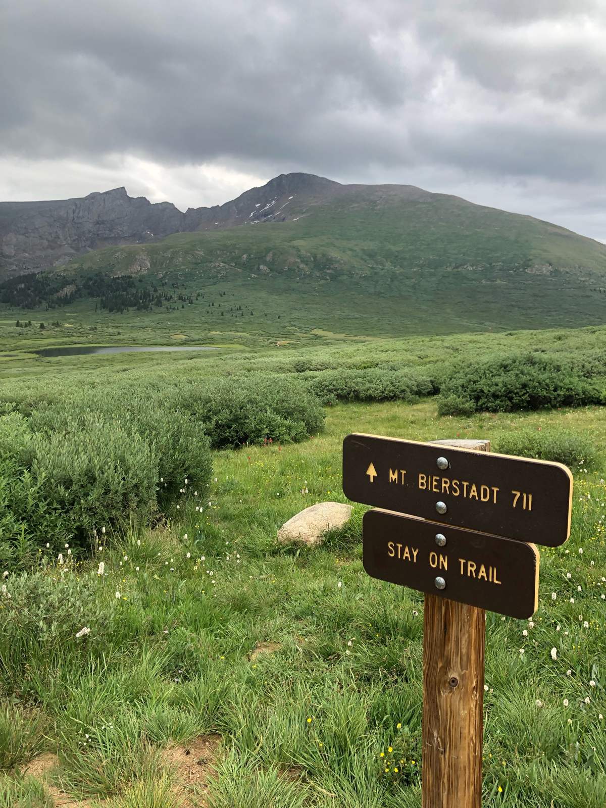 The Mount Bierstadt trailhead sign in a green alpine valley